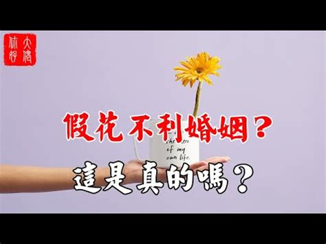 家裡放假花 風水|2024年假花擺放指南